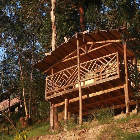 Amasiko Homestay Lake Bunyonyi Kabale Eksteriør bilde