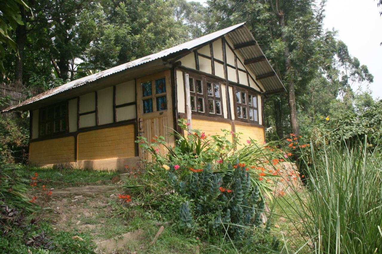 Amasiko Homestay Lake Bunyonyi Kabale Eksteriør bilde