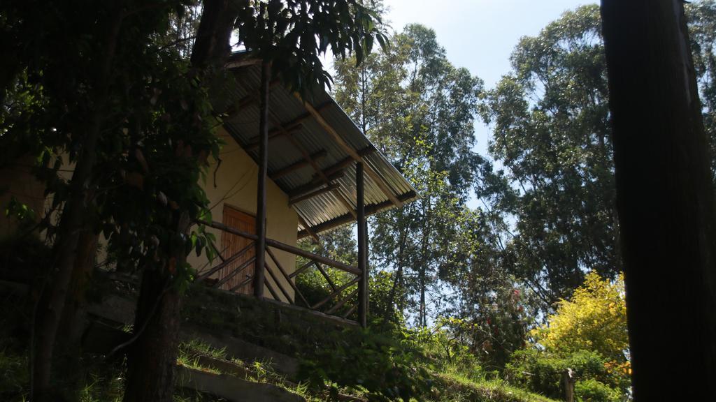 Amasiko Homestay Lake Bunyonyi Kabale Eksteriør bilde