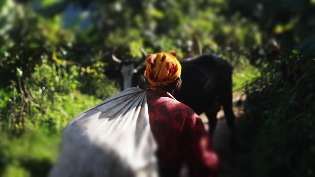 Amasiko Homestay Lake Bunyonyi Kabale Eksteriør bilde