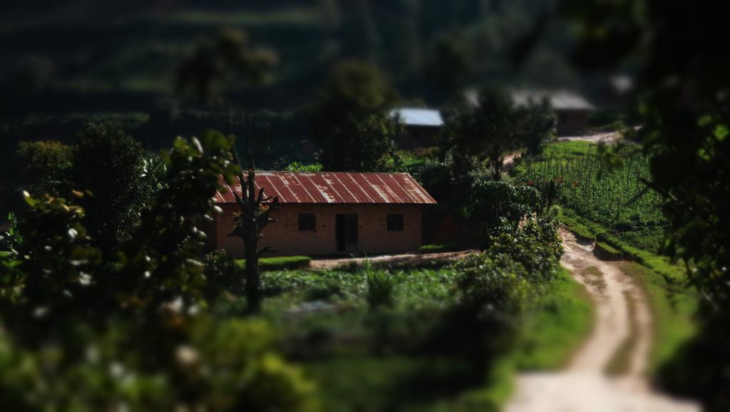 Amasiko Homestay Lake Bunyonyi Kabale Eksteriør bilde